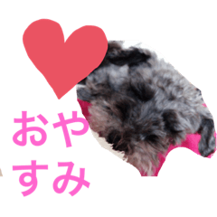 akane_20190823211358