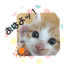 AYUMI_20190823205802