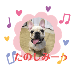 PONZU_20190823205704