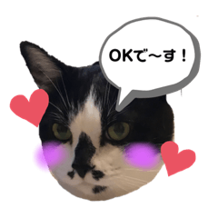 pon_20190823221603