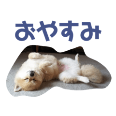 ryu_20190823220514