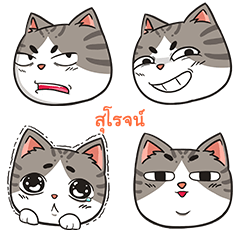 SUROJ trollcat emoji