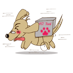 癱瘓臘腸狗生活日常