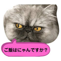 TomoChan_20190824011326