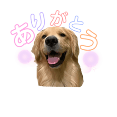 porico_20190824005420