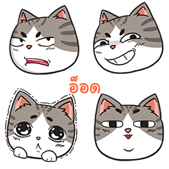 AOD trollcat emoji