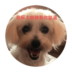 啊唷喂