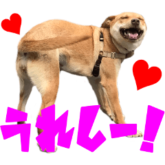 紬と華の仲良しスタンプ