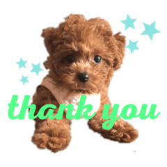 Kurumi_20190824031803