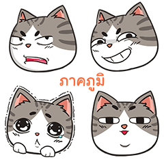 PAKPOOM trollcat emoji