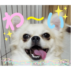 moko_20190823234033
