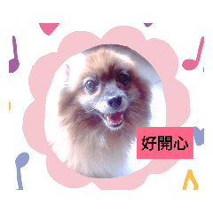 愛莉麻貼圖1