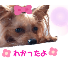 aran_20190824152632