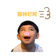 乖の生活