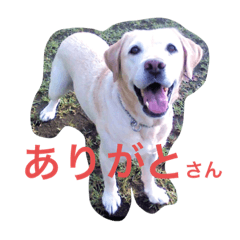 Tomochan_20190824164548