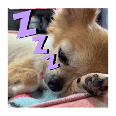 maya_20190824164719
