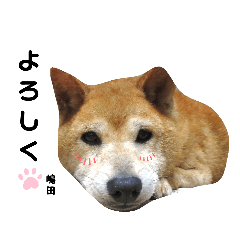 嶋田さん専用スタンプ