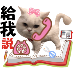 咪咪&毛毛