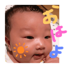 RISA_minato