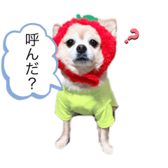 vivi's stamp 4