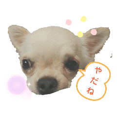 Hikaru_20190824203506