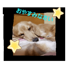 Family_20190824195701