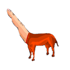 iiiiiiiiiikiiiiiiiii
