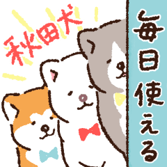 Everyday Akita Dogs
