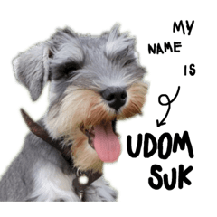 my name is UDOMSUK 2