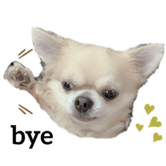 yun_20190824185812