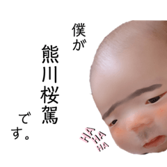 kumachan_20190824221846