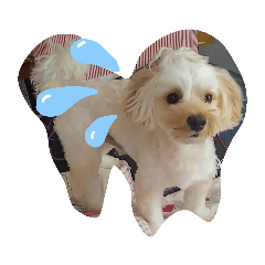 chie_20190824214635
