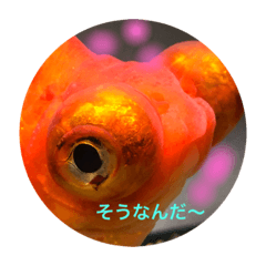 Emily_20190824150032demekin