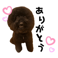 peace_20190825102505