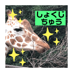 miko_20190825131330