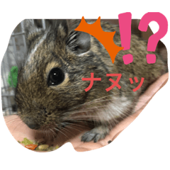 tomomi_20190825132804