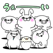 Rabbit100%, Bear100% & Friends