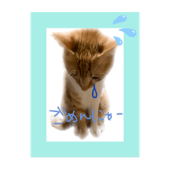 nanana_20190825142056