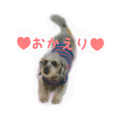 yayoi_20190825155029