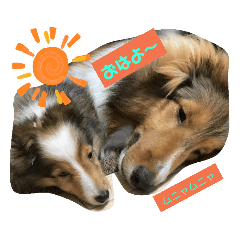 Akane_20190825184425