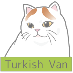 Elegant Turkish Van Cats