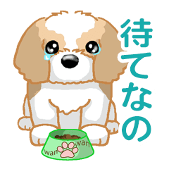 Shih Tzu シーズー Ver2(動く)