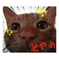 natsuichi_20190825162932