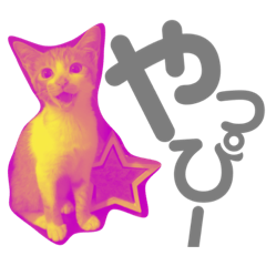 ask_20190823234935