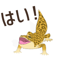 My favorite leopard gecko