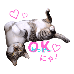 mizuki_20190825170523