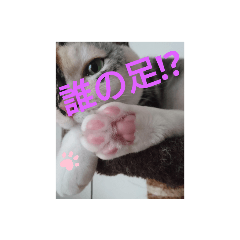 ran_20190825213305