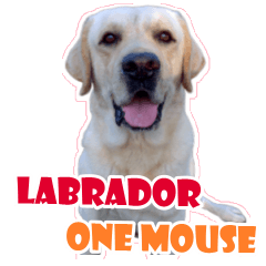 Labrador Retriever One mouse