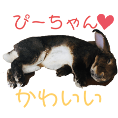 rika_20190825225715