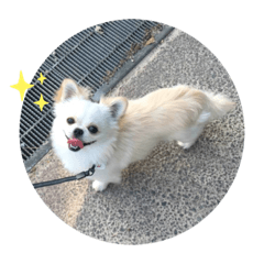 I love noechan